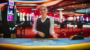 sinartogel resmi App 